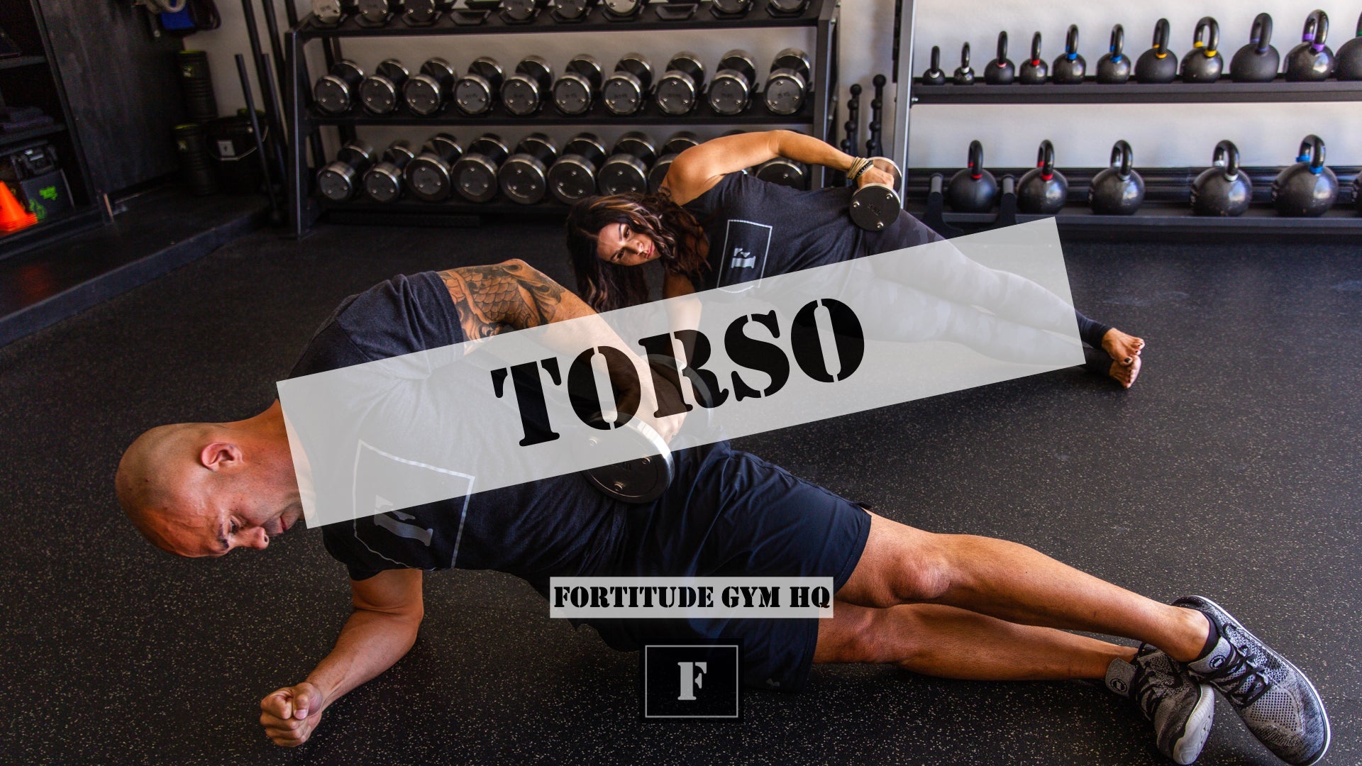 12 Week Remedial Program - Torso - Fortitude Gym