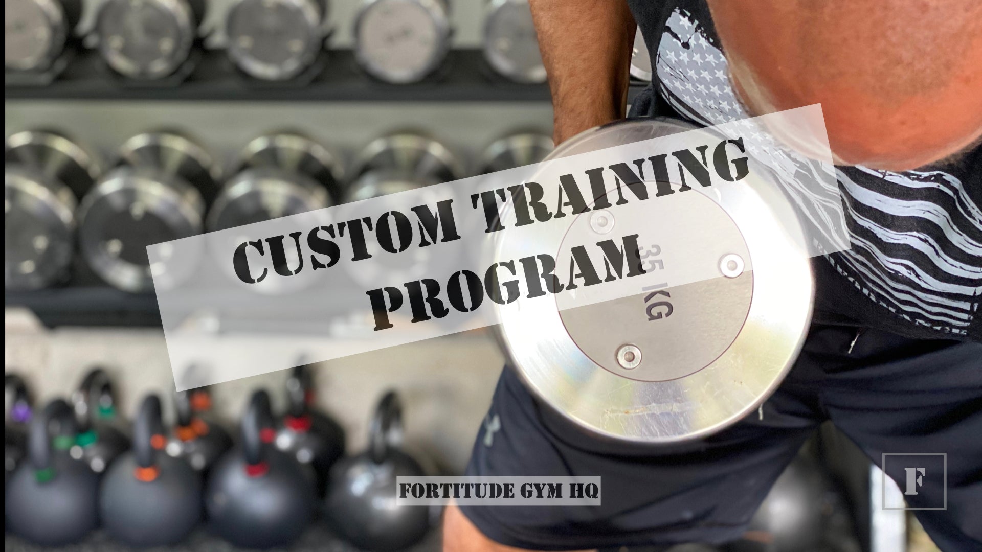 Custom Training Programs in Chandler, AZ | Fortitude Gym HQ